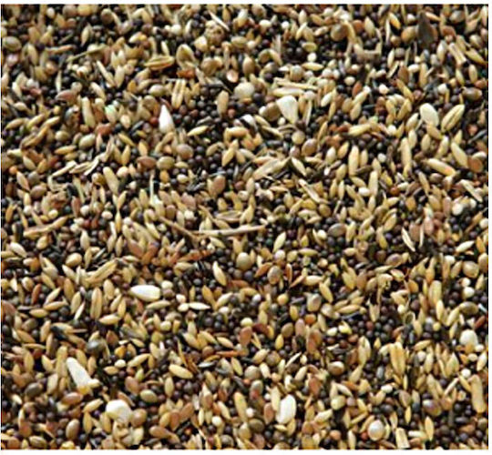 Manitoba Cardellini Birds Food for Wild Birds 1kg