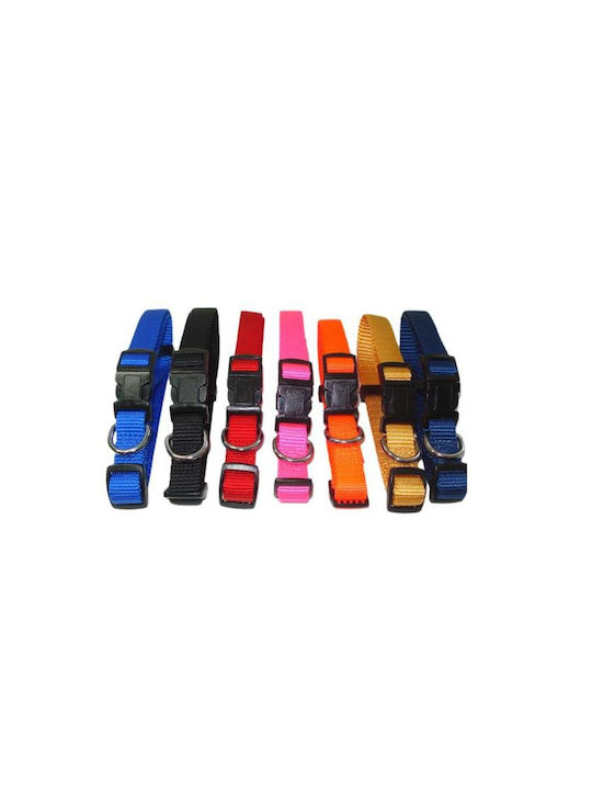 Record Dog Collar in Red color