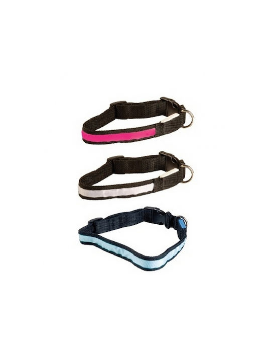 Record Dog Collar in Red color 20mm x 38cm