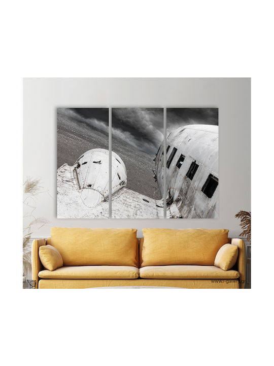 I-gallery Old Crashed Plane Threefold Painting on Canvas 70x50cm