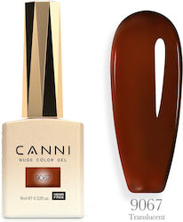 Canni Semipermanent Lac de Unghii 9067 9ml 1buc