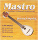 Mastro Set of Phosphor Bronze Strings for Baglama 9 - 20"
