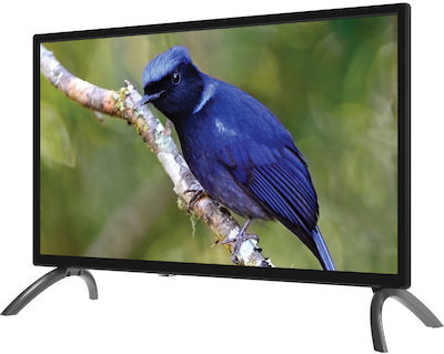 IQ Τηλεόραση 24" HD Ready LED LED-2406 (2022)