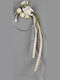 Idiokiro Wedding Favor Decorative