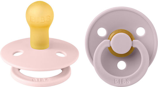 Bibs Pacifiers Rubber Blossom / Dusty Lilac for 0-6 months 2pcs