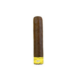 Rocky Patel Maduro
