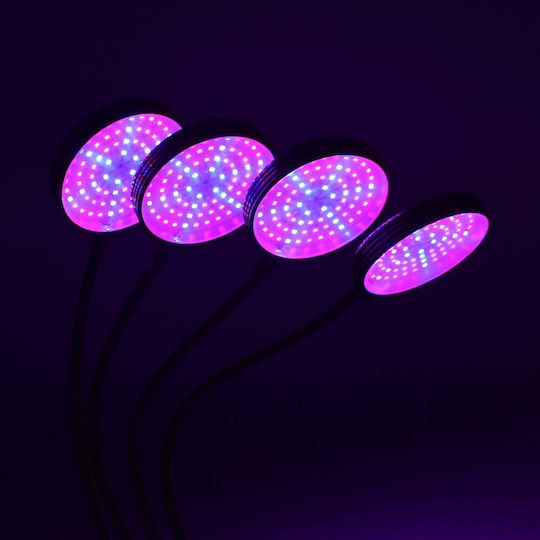 Desk Grow Light with LED