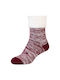 Camano Socks Oxblood Red