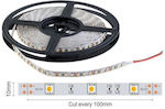 Spot Light Bandă LED Alimentare 24V cu Lumină Alb Natural