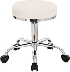 Salon Stools Scaun