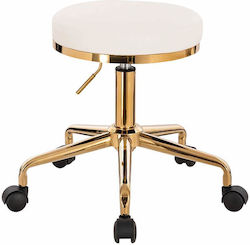 Salon Stools Scaun