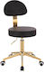 Salon Stools Wheeled Stool with Backrest Black ΧΡΥΣΌ-5420187