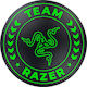 Razer Σουμέν Einzeln Team Razer Grün