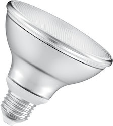 Ledvance LED Bulb Dimmable 10W for Socket E27 Warm White Ledvance LED Bulb Dimmable 10W for Socket E27 Warm White