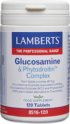 Lamberts Glucosamine & Phytodroitin Complex Supplement for Joint Health 120 tabs