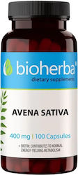 Bioherba Avena Sativa 400мг 100 Капсули Bioherba Avena Sativa 400мг 100 Капсули