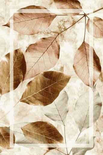 TnS Badematte Synthetisch,Polyester/Cotton/Leather Rechteckig Design 3 39-800-0084 Plan 3 60x100cm