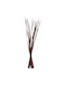 Dried Plant Brown 10pcs Freebox