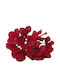 Wreath of Artificial Plants Hydrangea Burgundy 20cm Arpimex Srl