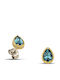 Dimitrios Exclusive Earrings made of Silver with Stones