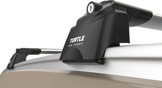 Turtle (with Roof Rack Legs) Silver