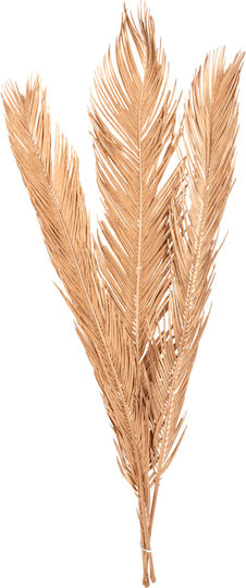 Plantă Uscată Palmier Auriu HomeMarkt