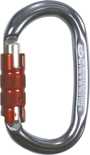 Climbing Technology Pillar Tg Sicherheitskarabiner 1Stück