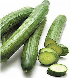 Geoponiki F1 Seeds Cucumber