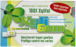 Xyligum Chewing gum 1pcs 15gr