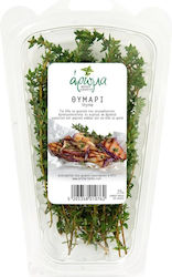 Θυμάρι Εισαγωγής Κουτί 25gr