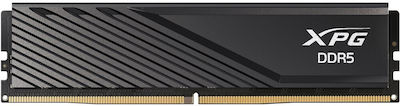 Adata Lancer 32GB DDR5 RAM mit 2 Modulen (2x16GB) und Geschwindigkeit 6000 für Schreibtisch