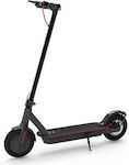 Electric Scooters