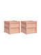 vidaXL Set 2 Planters Wooden Brown