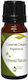 Nature & Body Caramel Cream Ulei Esențial 10ml