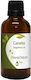 Nature & Body Κανέλα Canella Αιθέριο Έλαιο Κανέλα 100ml