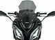WRS Getöntes Visier Motorrad für Kawasaki Z 1000 KA014FS