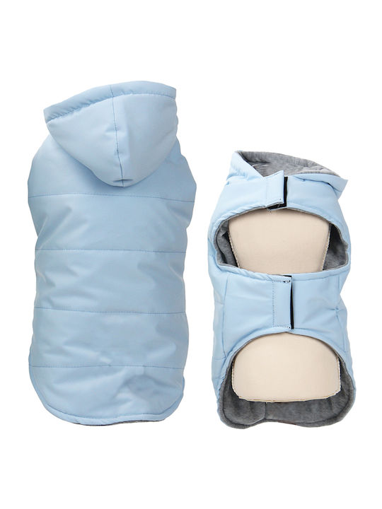 Glee Hundemantel Blau Klein mit Rückenlänge 25 cm. 25cm