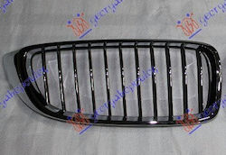 Prasco Dekorative Auto Maske BMW Serie 4 (F32)