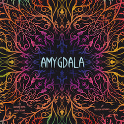 Amygdala 10+ Years (EN) Game Brewer
