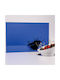 EUMirror Wall Mirror with Blue Plastic Frame 100x150cm 1pcs
