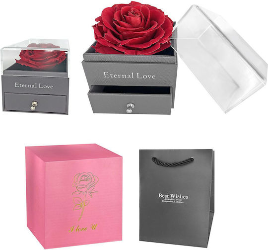Eternal Rose Red in Box HOMie