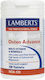 Lamberts MultiGuard OsteoAdvance 50+ Supplement for Bone Health 120 tabs