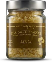 Salt Odyssey Sea Salt 100gr