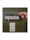 Molf's Wall Key Hook Metallic Fender Locking 4 Hooks
