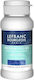 Lefranc Bourgeois Bourgeois Βερνίκι Ζωγραφικής 120ml 1τμχ