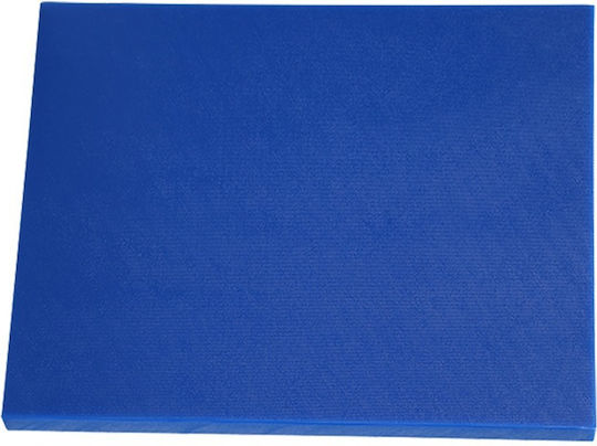 Ready HDPE Blue Cutting Board 40x30x1.5cm