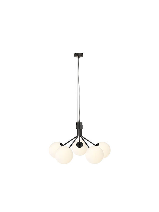 Emibig Pendant Chandelier Black