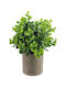 Artificial Plant in Small Pot Multicolour ForHome