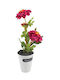 Plantă Artificială în Ghiveci Mic Multicolour 31cm ForHome