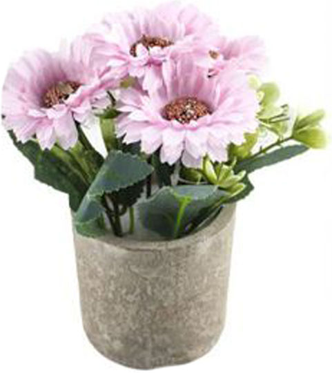 Floare în Ghiveci Multicolor 16cm ForHome